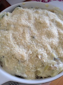 Soy Veggie Macaroni Gratin