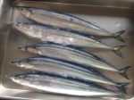 sanma