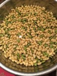 soak the beans in water