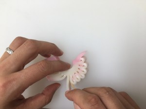 kamaboko peacock2